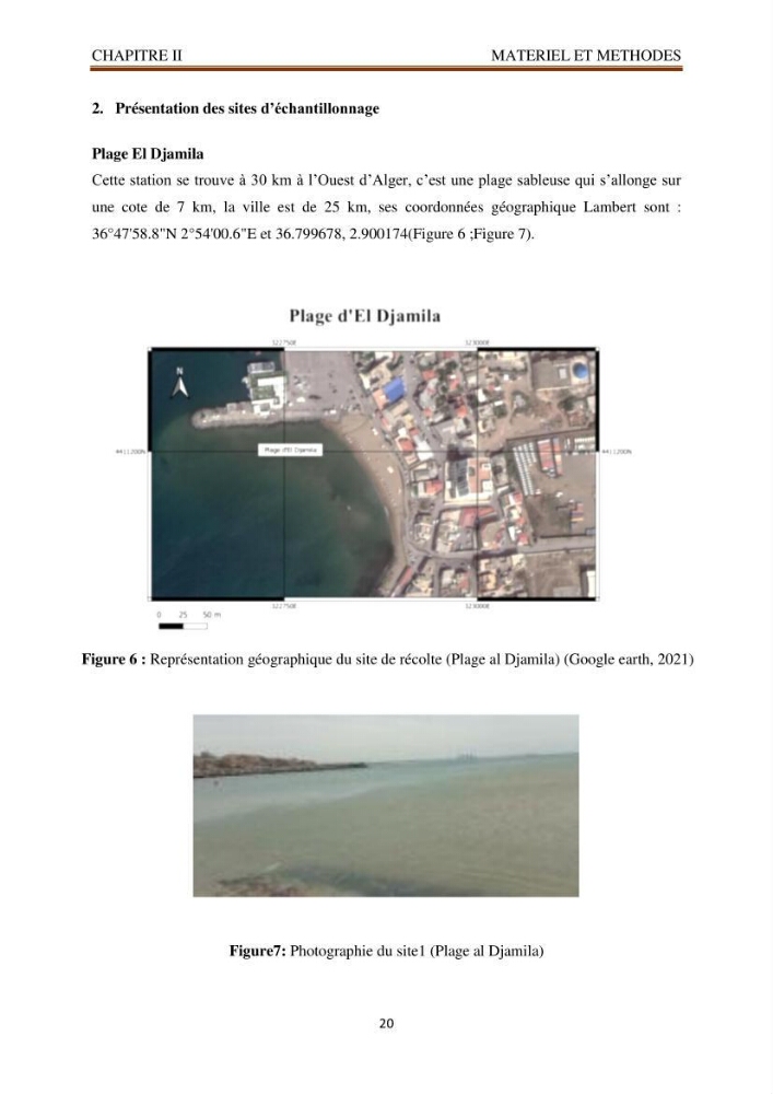 Recherche de quelques espèces algales de la co^te algérienne aux possibilités biotechnologiques