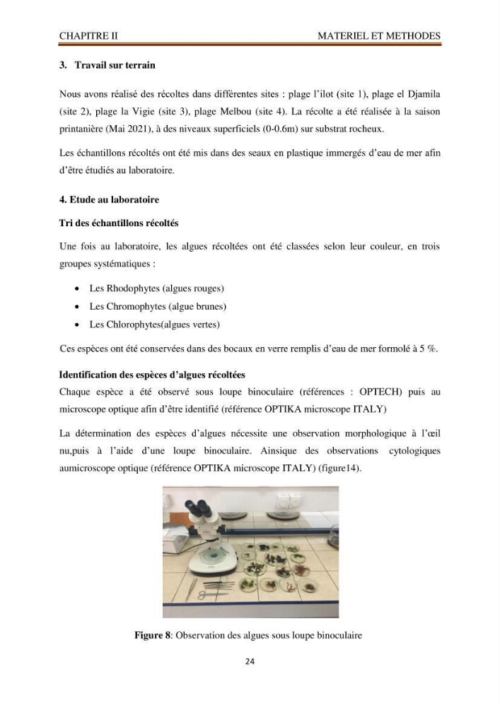 Recherche de quelques espèces algales de la co^te algérienne aux possibilités biotechnologiques