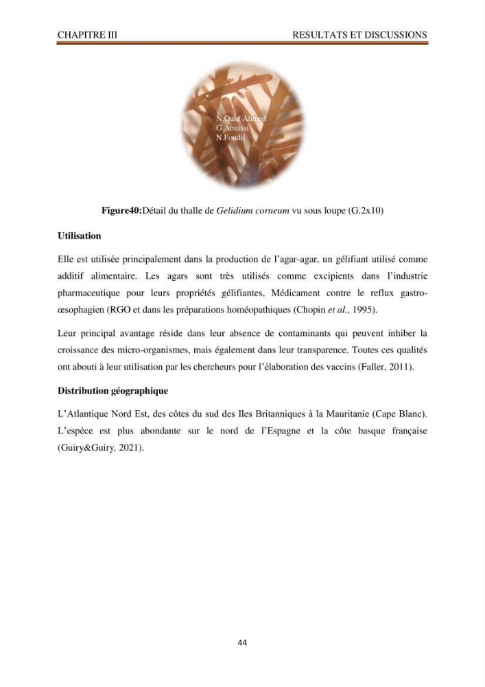 Recherche de quelques espèces algales de la co^te algérienne aux possibilités biotechnologiques