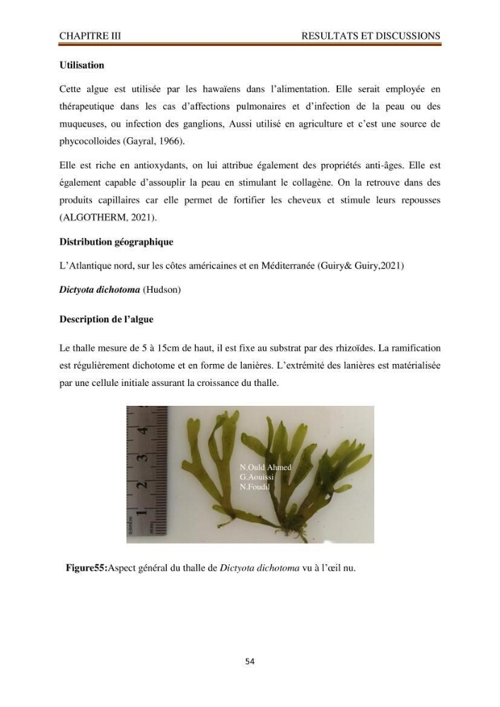 Recherche de quelques espèces algales de la co^te algérienne aux possibilités biotechnologiques