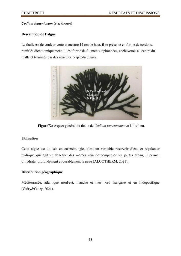 Recherche de quelques espèces algales de la co^te algérienne aux possibilités biotechnologiques