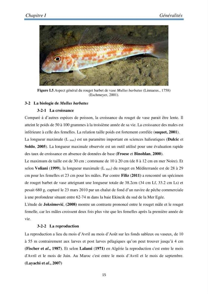 Contribution à l’étude bioéconomique de la pêche chalutière cas de rouget de vase ( Mullus barbatus) de la région centre du bassin Algérien