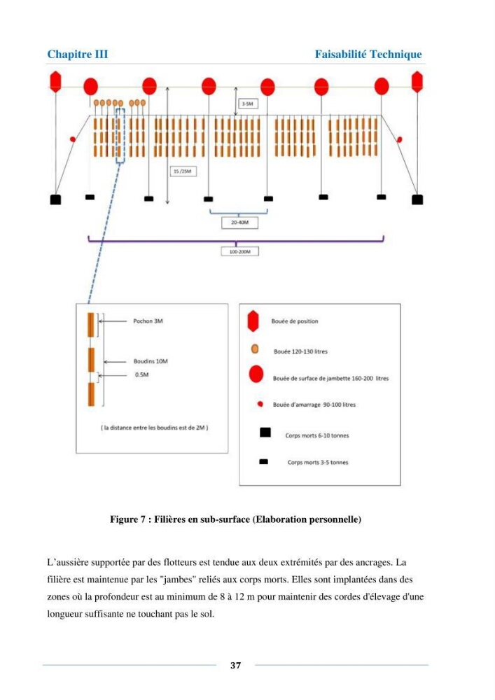 Etude de faisabilité technico-économique d’une ferme conchylicole (Mytilus galloprovincialis (Lamarck, 1819):
