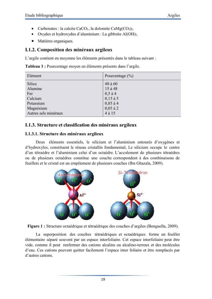 Modélisation de l\'adsorption de métaux lourds sur une argile brute algérienne