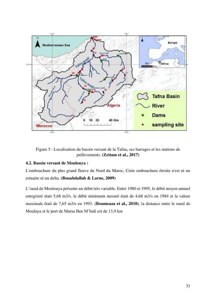 Ensablement du port de Marsa Ben M’Hidi (W. de Tlemcen) Etude hydro-sédimentaire et solutions
