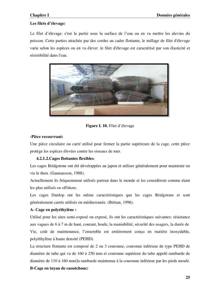 Contribution a la mise en place d.un systeme d\'elevage en cages flottantes du loup de mer et de la daurade royale au niveau de Gouraya (wilaya de Tipaza).: