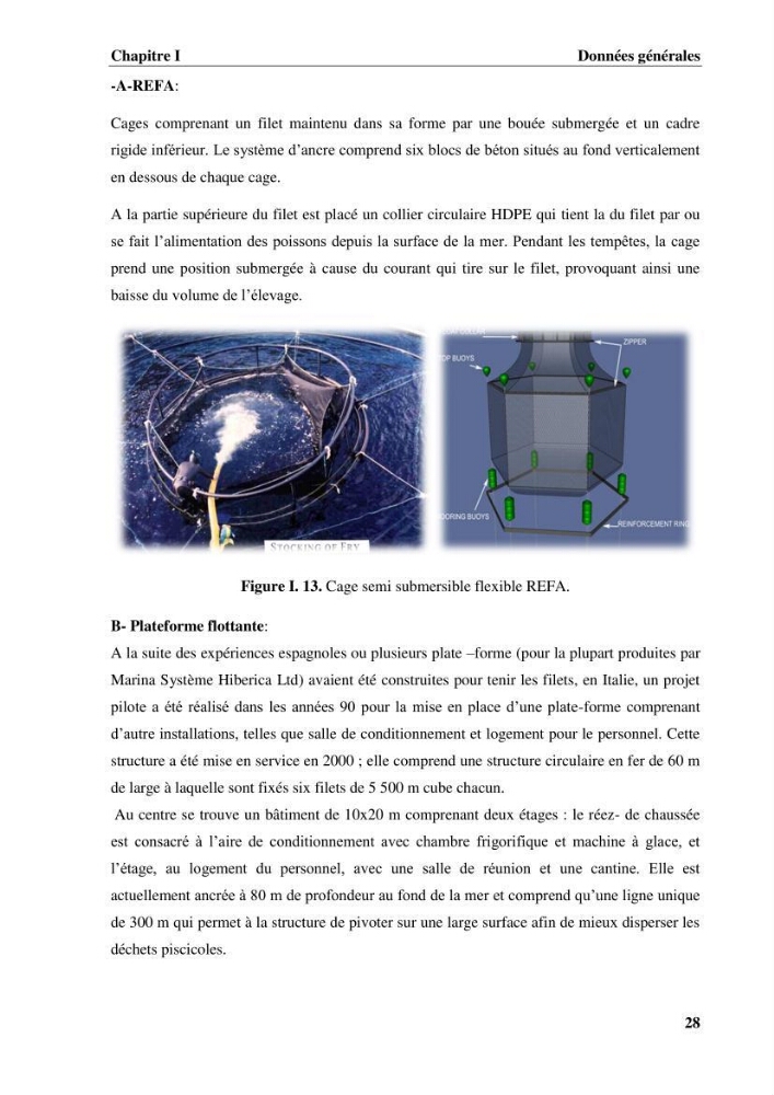 Contribution a la mise en place d.un systeme d\'elevage en cages flottantes du loup de mer et de la daurade royale au niveau de Gouraya (wilaya de Tipaza).: