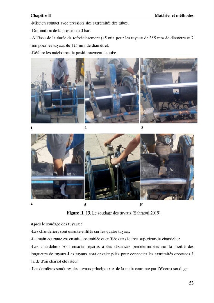 Contribution a la mise en place d.un systeme d\'elevage en cages flottantes du loup de mer et de la daurade royale au niveau de Gouraya (wilaya de Tipaza).: