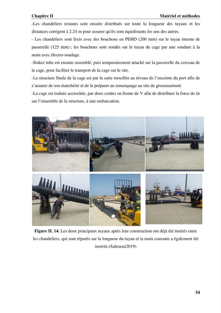 Contribution a la mise en place d.un systeme d\'elevage en cages flottantes du loup de mer et de la daurade royale au niveau de Gouraya (wilaya de Tipaza).: