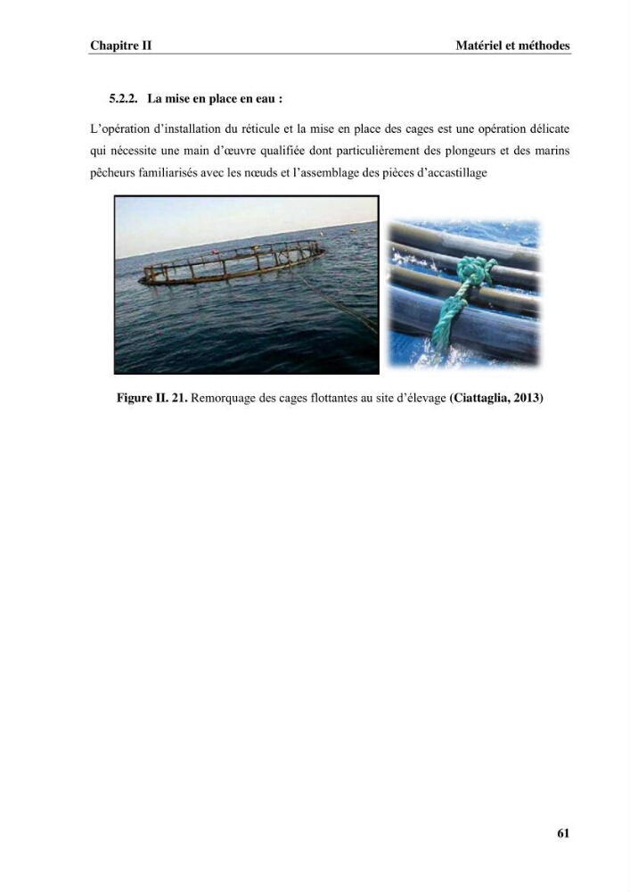 Contribution a la mise en place d.un systeme d\'elevage en cages flottantes du loup de mer et de la daurade royale au niveau de Gouraya (wilaya de Tipaza).:
