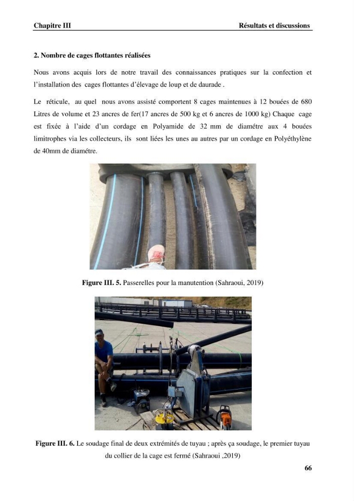 Contribution a la mise en place d.un systeme d\'elevage en cages flottantes du loup de mer et de la daurade royale au niveau de Gouraya (wilaya de Tipaza).: