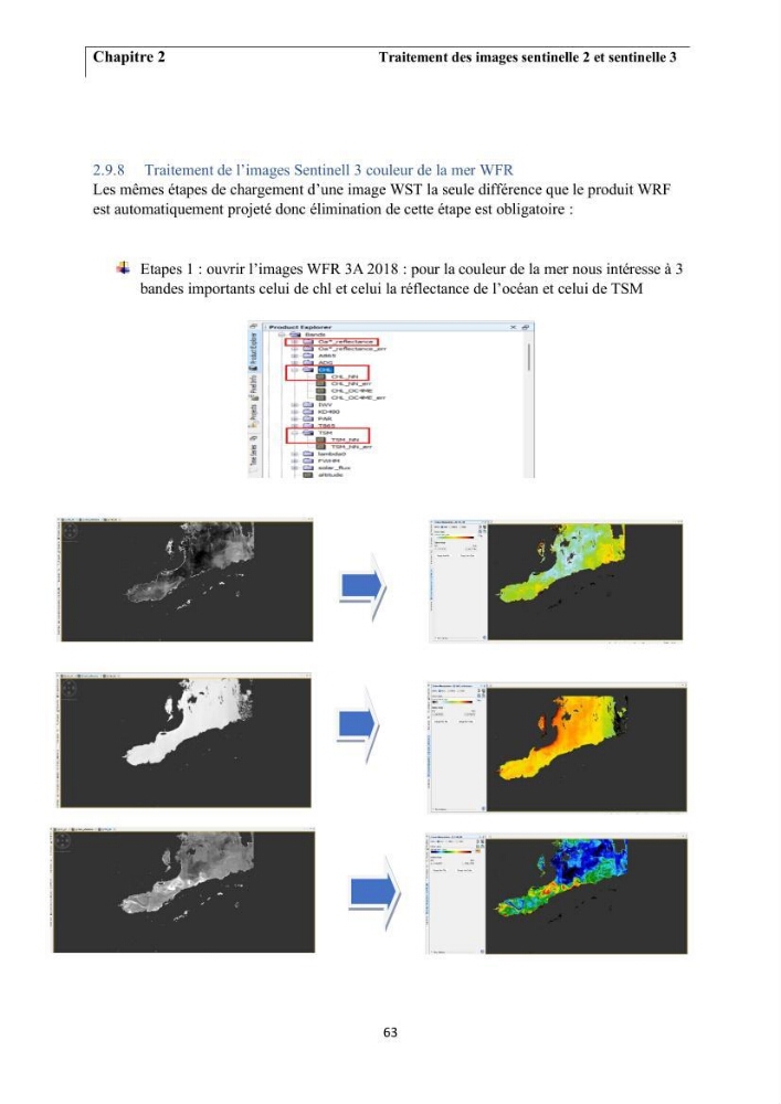 Apport de la télédétection multi spectrale des eaux littorales turbides Pour l’étude de la chlorophylle et la qualité des eaux marines Le long de la cote algérienne (Ouest)