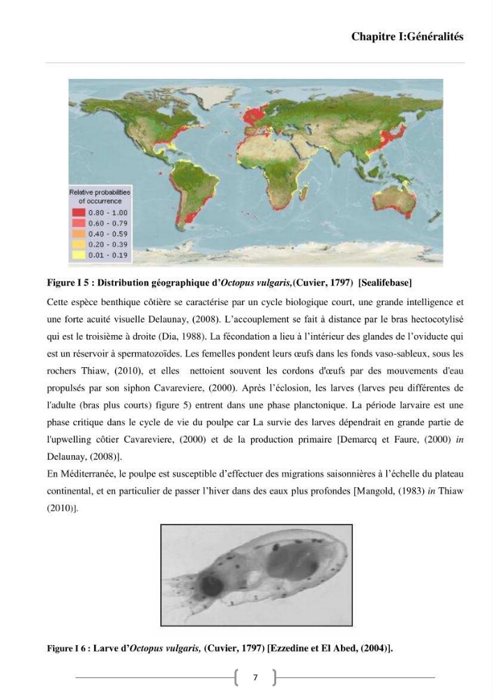 Contribution à l\'analyse des aspects éco-trophiques chez les céphalopodes