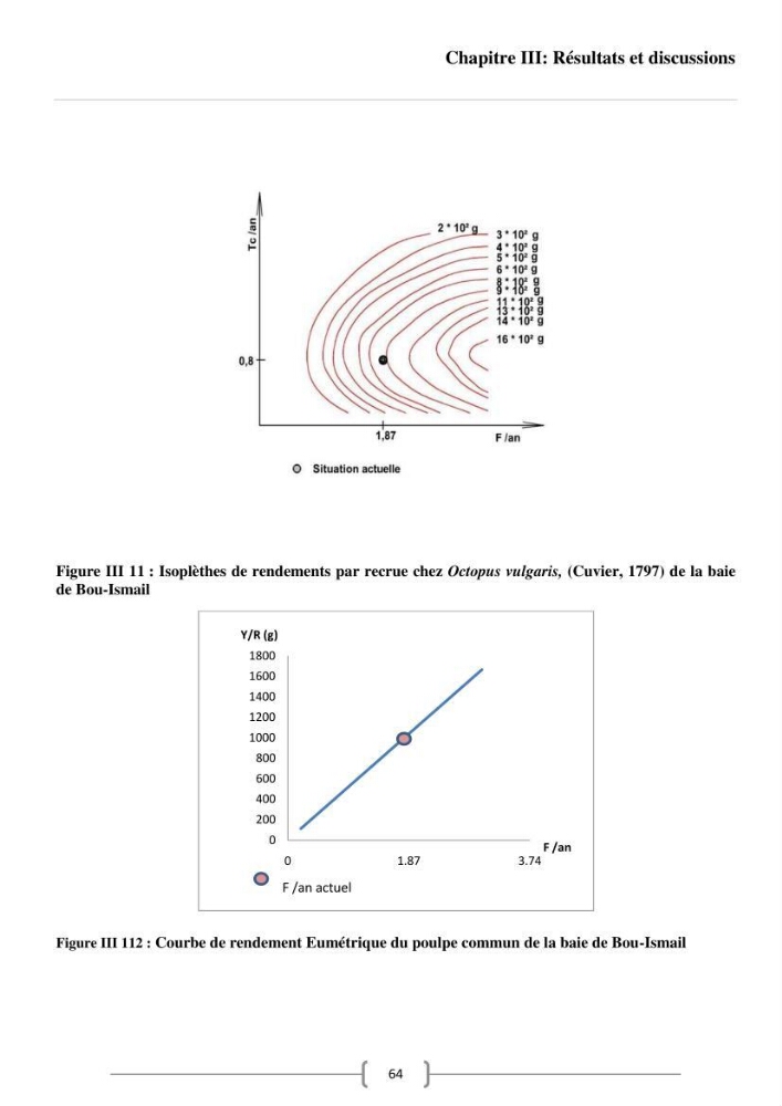 Contribution à l\'analyse des aspects éco-trophiques chez les céphalopodes