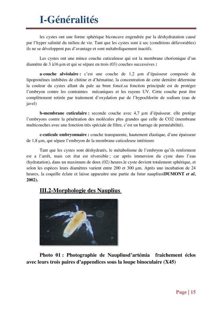 Caractérisation des cyste d\'Artémia du chott Merouane: