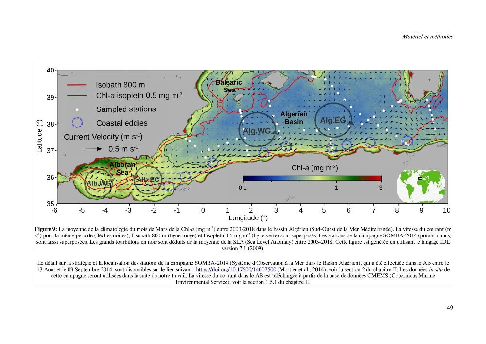 Etude par télédétection et mesures in situ des efflorescences algales et de la matière en suspension dans le Bassin Algérien