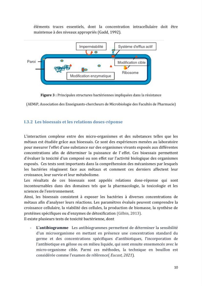 L’interaction des micro-organismes avec des métaux et Etude de faisabilité des biocapteurs pour la surveillance environnementale des eaux côtières
