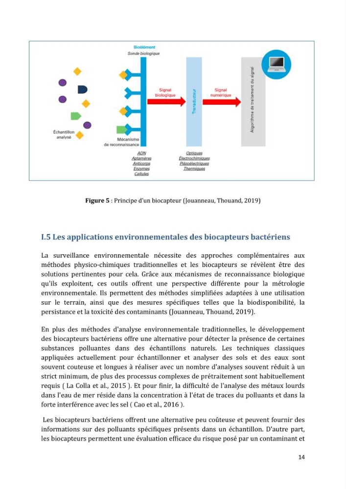 L’interaction des micro-organismes avec des métaux et Etude de faisabilité des biocapteurs pour la surveillance environnementale des eaux côtières