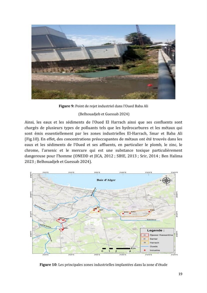 L’interaction des micro-organismes avec des métaux et Etude de faisabilité des biocapteurs pour la surveillance environnementale des eaux côtières