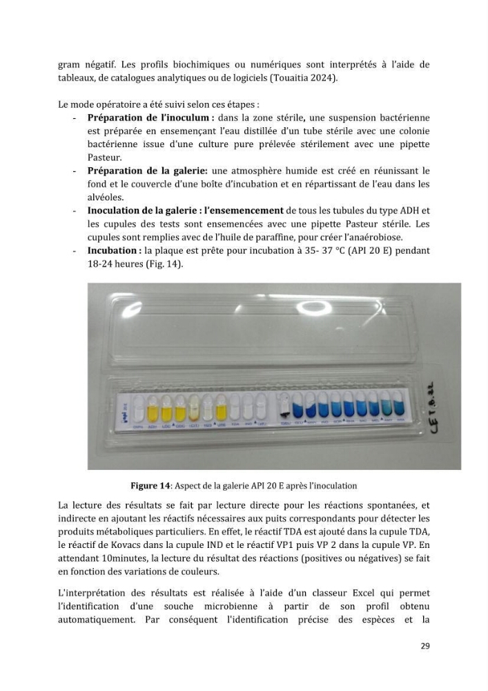 L’interaction des micro-organismes avec des métaux et Etude de faisabilité des biocapteurs pour la surveillance environnementale des eaux côtières