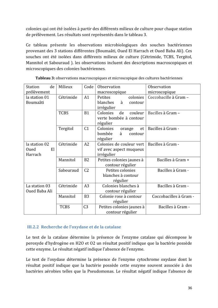 L’interaction des micro-organismes avec des métaux et Etude de faisabilité des biocapteurs pour la surveillance environnementale des eaux côtières