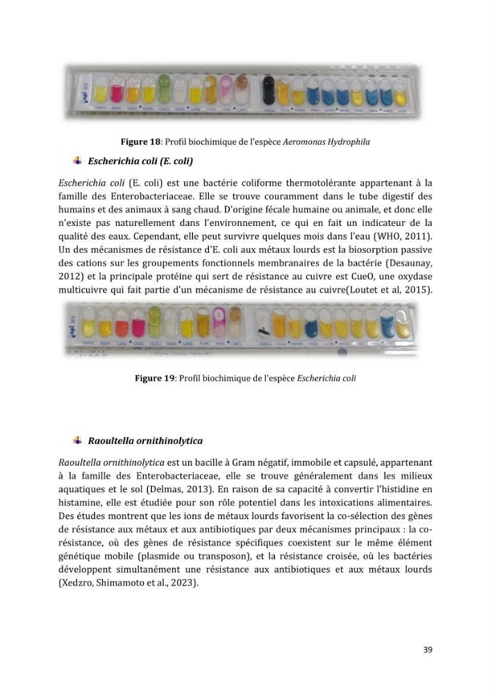 L’interaction des micro-organismes avec des métaux et Etude de faisabilité des biocapteurs pour la surveillance environnementale des eaux côtières