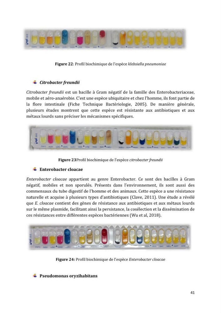 L’interaction des micro-organismes avec des métaux et Etude de faisabilité des biocapteurs pour la surveillance environnementale des eaux côtières