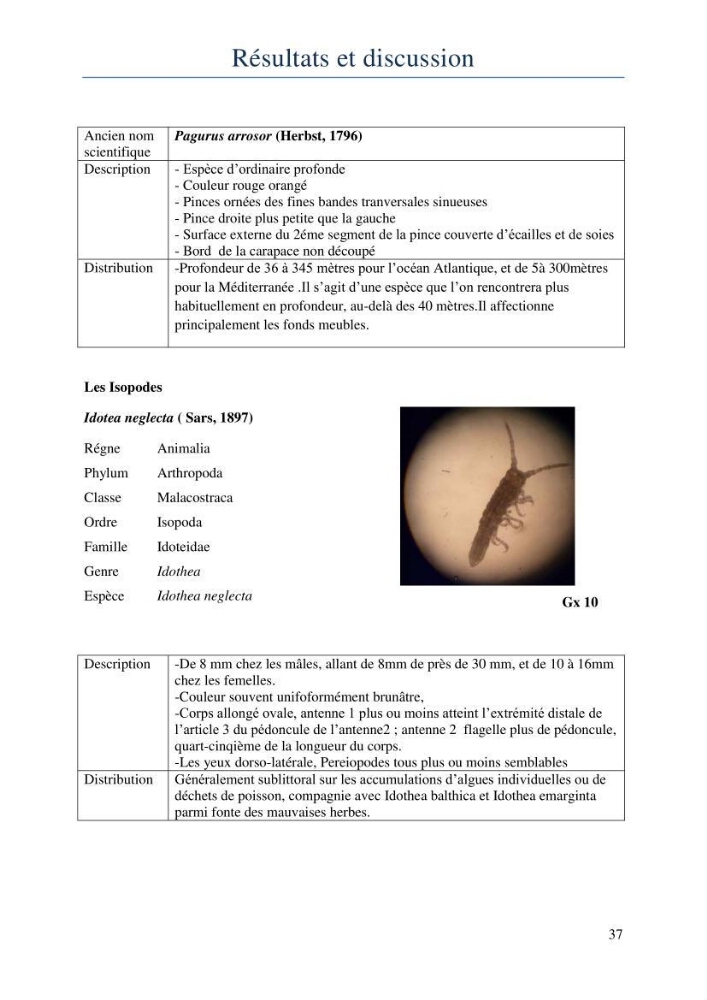 Initiation à la taxonomie des peuplements macrozoobenthiques du secteur centre et ouest de la côte Algérienne