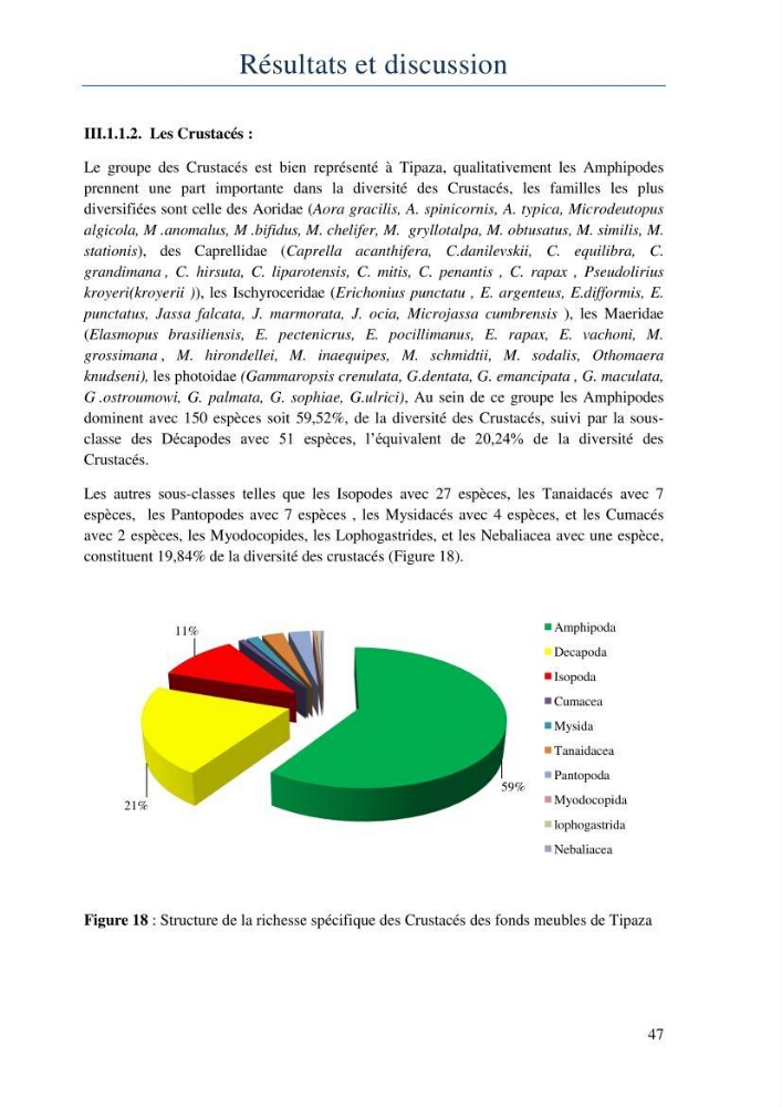 Initiation à la taxonomie des peuplements macrozoobenthiques du secteur centre et ouest de la côte Algérienne