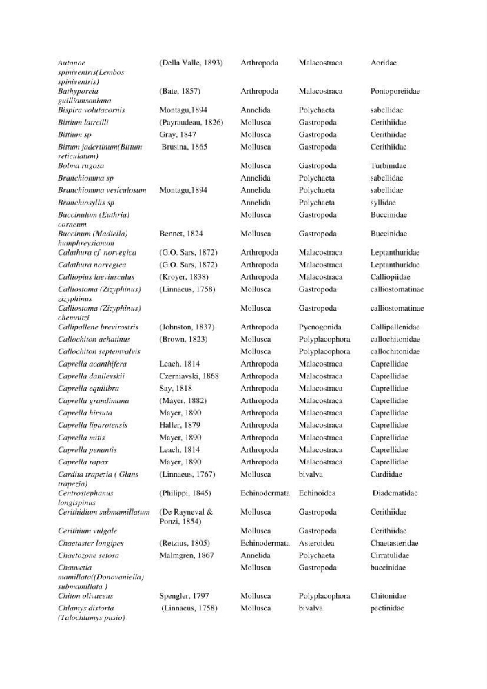 Initiation à la taxonomie des peuplements macrozoobenthiques du secteur centre et ouest de la côte Algérienne