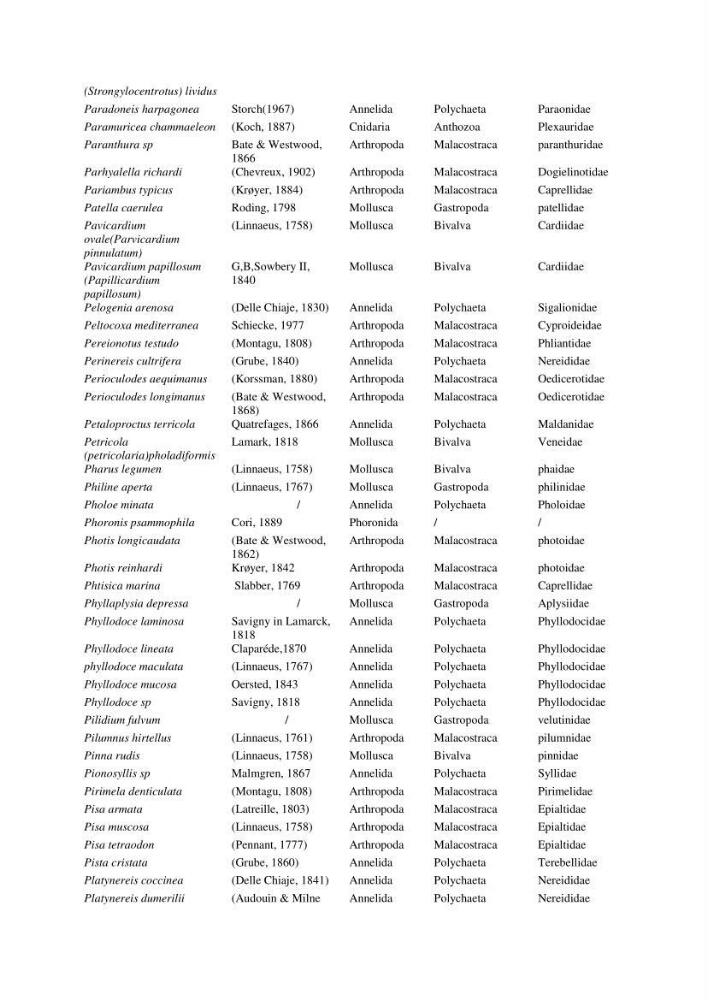 Initiation à la taxonomie des peuplements macrozoobenthiques du secteur centre et ouest de la côte Algérienne