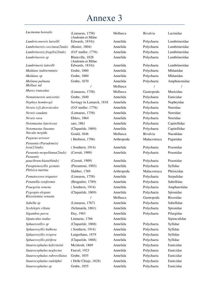 Initiation à la taxonomie des peuplements macrozoobenthiques du secteur centre et ouest de la côte Algérienne