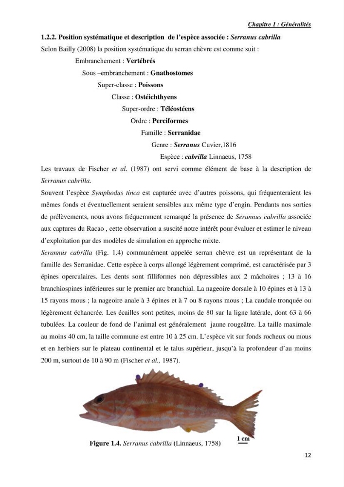Contribution a l\'étude de l\'age, de la croissance et de l\'exploitation de symphodus tinca linnaeus,1758,dans la région centr algerienne.: