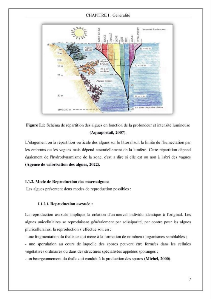 Valorisation biotechnologique d’une substance marine: étude antibactérienne, antioxydante et analgésique