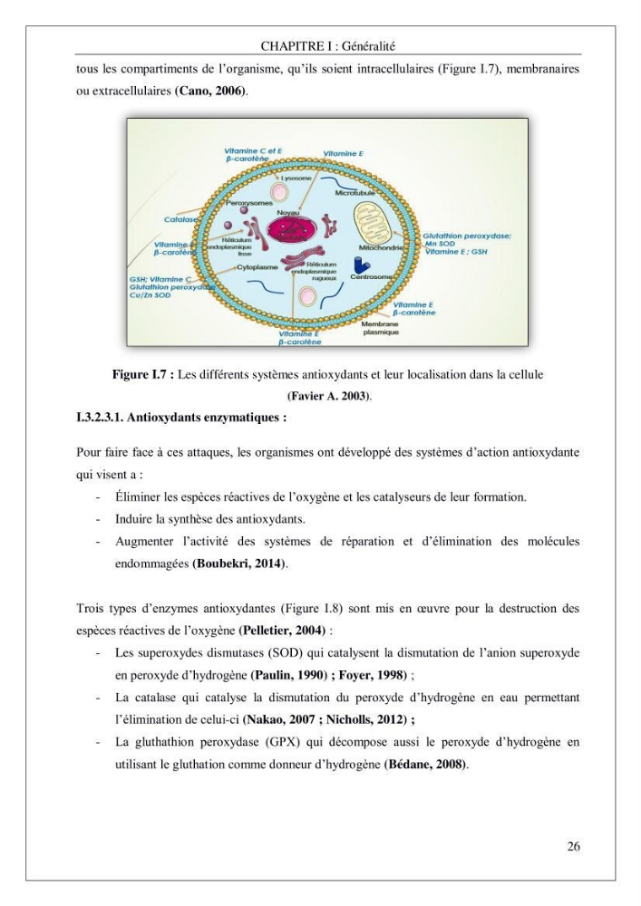 Valorisation biotechnologique d’une substance marine: étude antibactérienne, antioxydante et analgésique