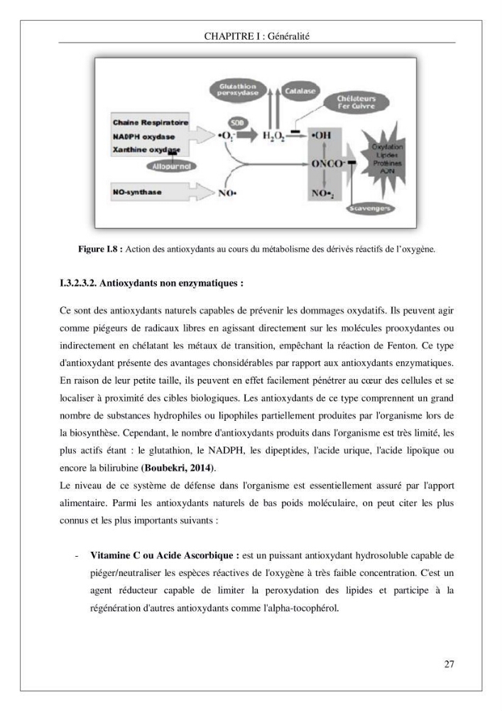 Valorisation biotechnologique d’une substance marine: étude antibactérienne, antioxydante et analgésique