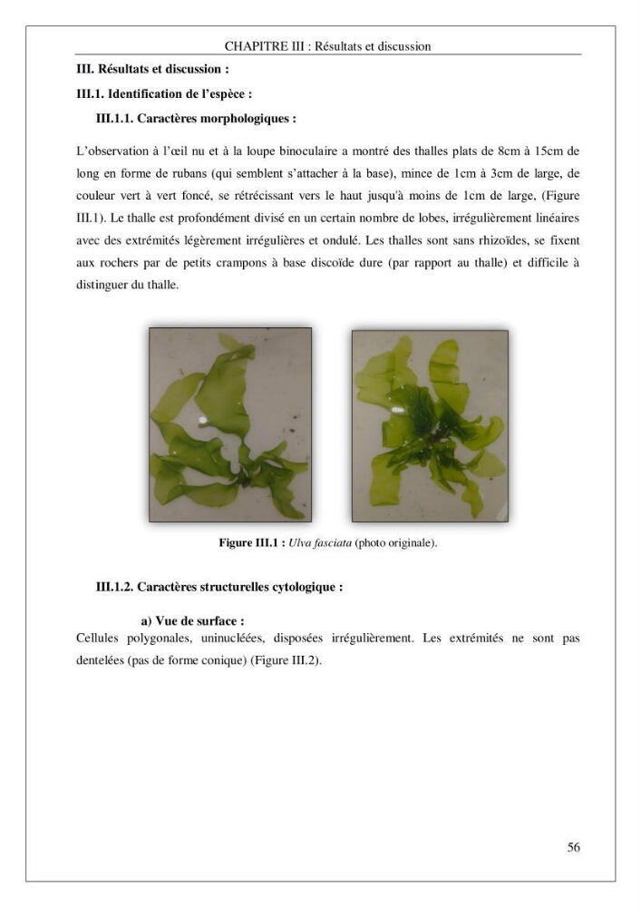 Valorisation biotechnologique d’une substance marine: étude antibactérienne, antioxydante et analgésique