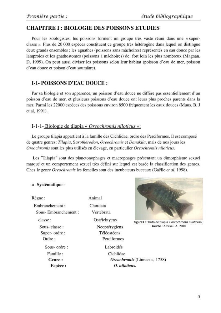 Détermination du taux des protéines et des lipides de la chair des poissons d\'eau de mer (Dicentrarchus labrax, Sparus aurata) et d\'eau douce (Oreochromis niloticus, Cyprinus carpio):