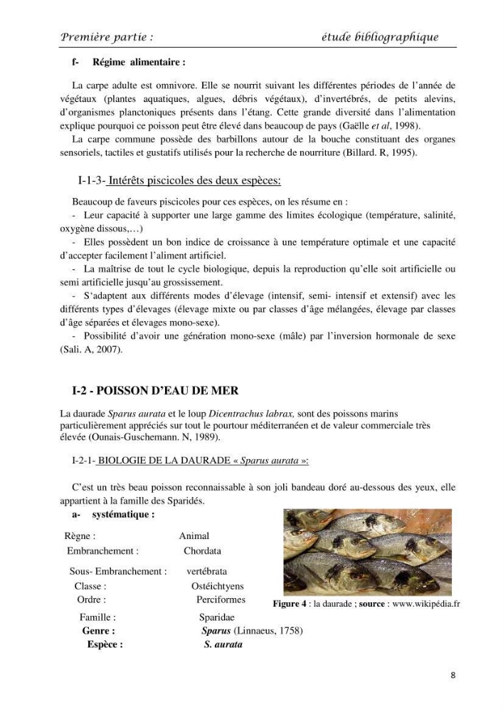 Détermination du taux des protéines et des lipides de la chair des poissons d\'eau de mer (Dicentrarchus labrax, Sparus aurata) et d\'eau douce (Oreochromis niloticus, Cyprinus carpio):