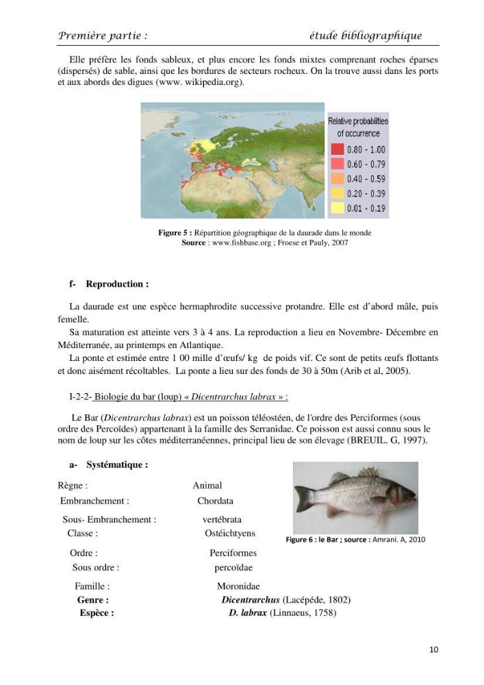 Détermination du taux des protéines et des lipides de la chair des poissons d\'eau de mer (Dicentrarchus labrax, Sparus aurata) et d\'eau douce (Oreochromis niloticus, Cyprinus carpio):