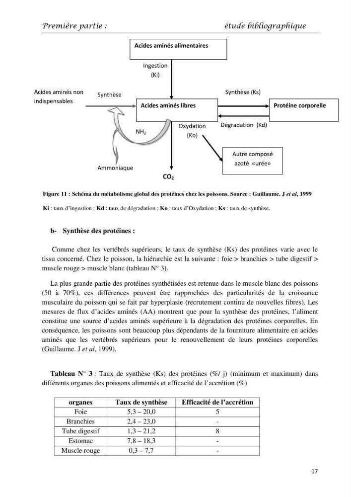 Détermination du taux des protéines et des lipides de la chair des poissons d\'eau de mer (Dicentrarchus labrax, Sparus aurata) et d\'eau douce (Oreochromis niloticus, Cyprinus carpio):