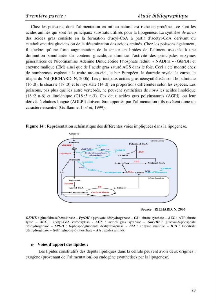 Détermination du taux des protéines et des lipides de la chair des poissons d\'eau de mer (Dicentrarchus labrax, Sparus aurata) et d\'eau douce (Oreochromis niloticus, Cyprinus carpio):