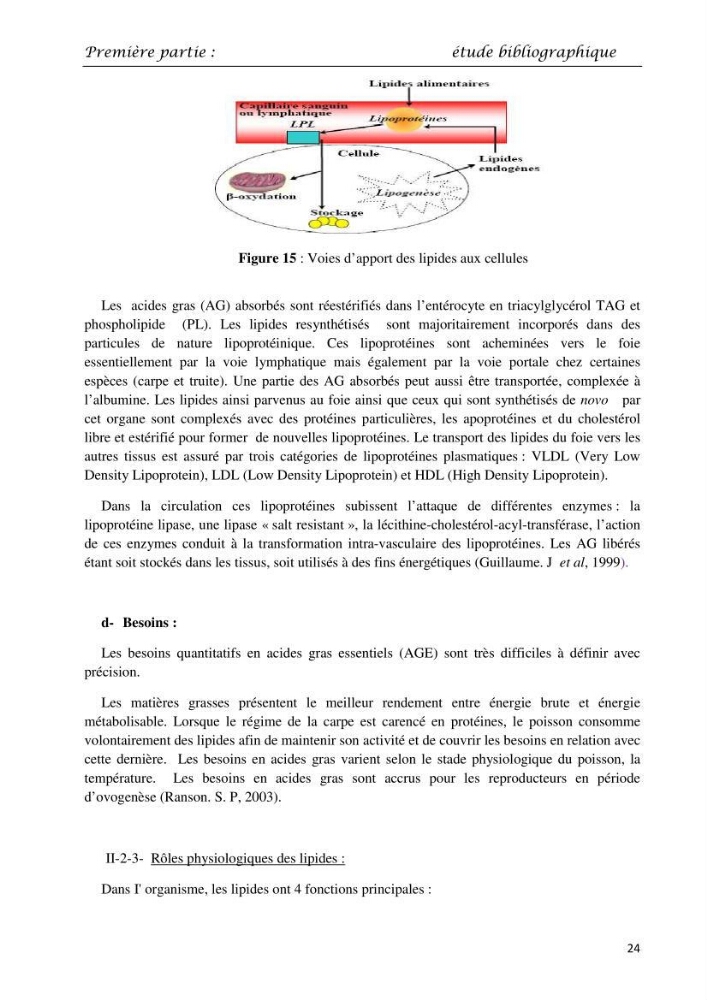 Détermination du taux des protéines et des lipides de la chair des poissons d\'eau de mer (Dicentrarchus labrax, Sparus aurata) et d\'eau douce (Oreochromis niloticus, Cyprinus carpio):