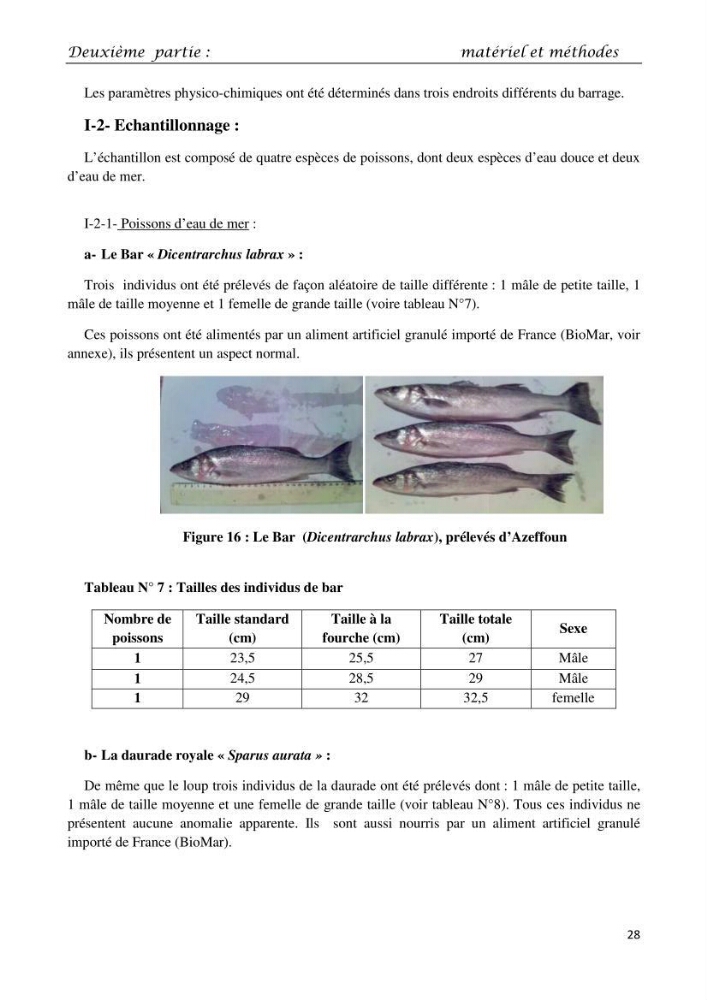 Détermination du taux des protéines et des lipides de la chair des poissons d\'eau de mer (Dicentrarchus labrax, Sparus aurata) et d\'eau douce (Oreochromis niloticus, Cyprinus carpio):