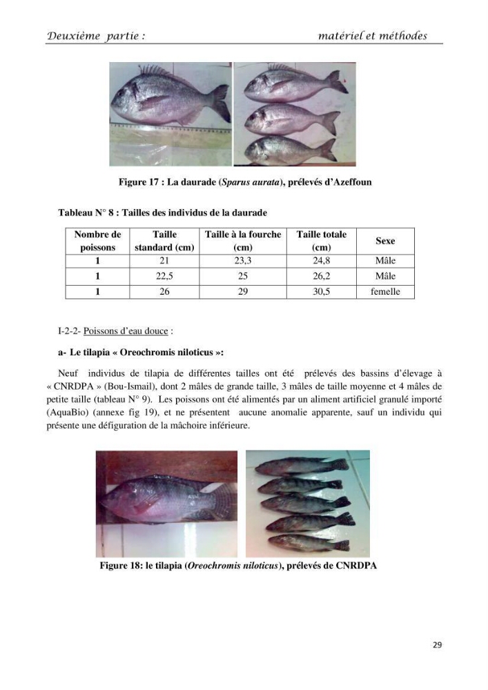 Détermination du taux des protéines et des lipides de la chair des poissons d\'eau de mer (Dicentrarchus labrax, Sparus aurata) et d\'eau douce (Oreochromis niloticus, Cyprinus carpio):