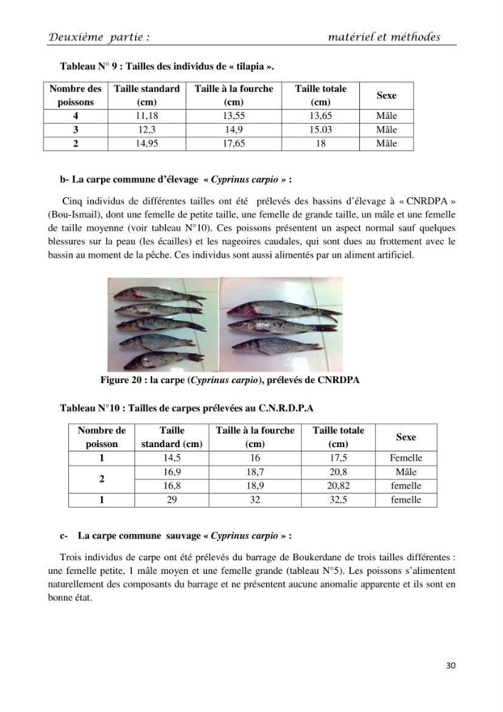 Détermination du taux des protéines et des lipides de la chair des poissons d\'eau de mer (Dicentrarchus labrax, Sparus aurata) et d\'eau douce (Oreochromis niloticus, Cyprinus carpio):