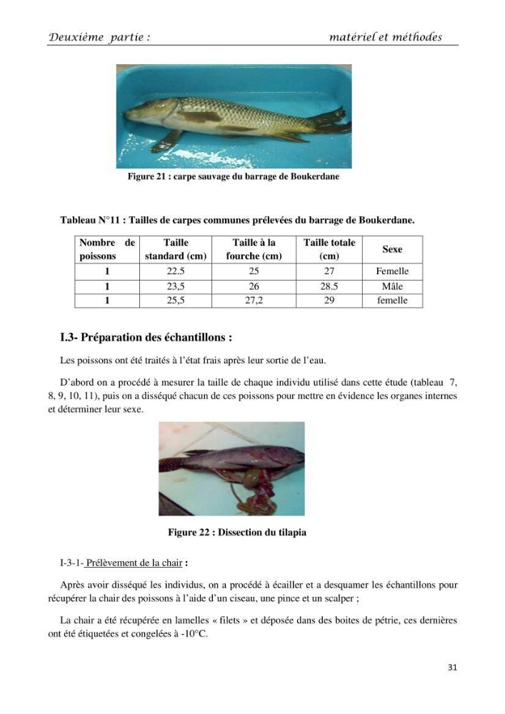 Détermination du taux des protéines et des lipides de la chair des poissons d\'eau de mer (Dicentrarchus labrax, Sparus aurata) et d\'eau douce (Oreochromis niloticus, Cyprinus carpio):