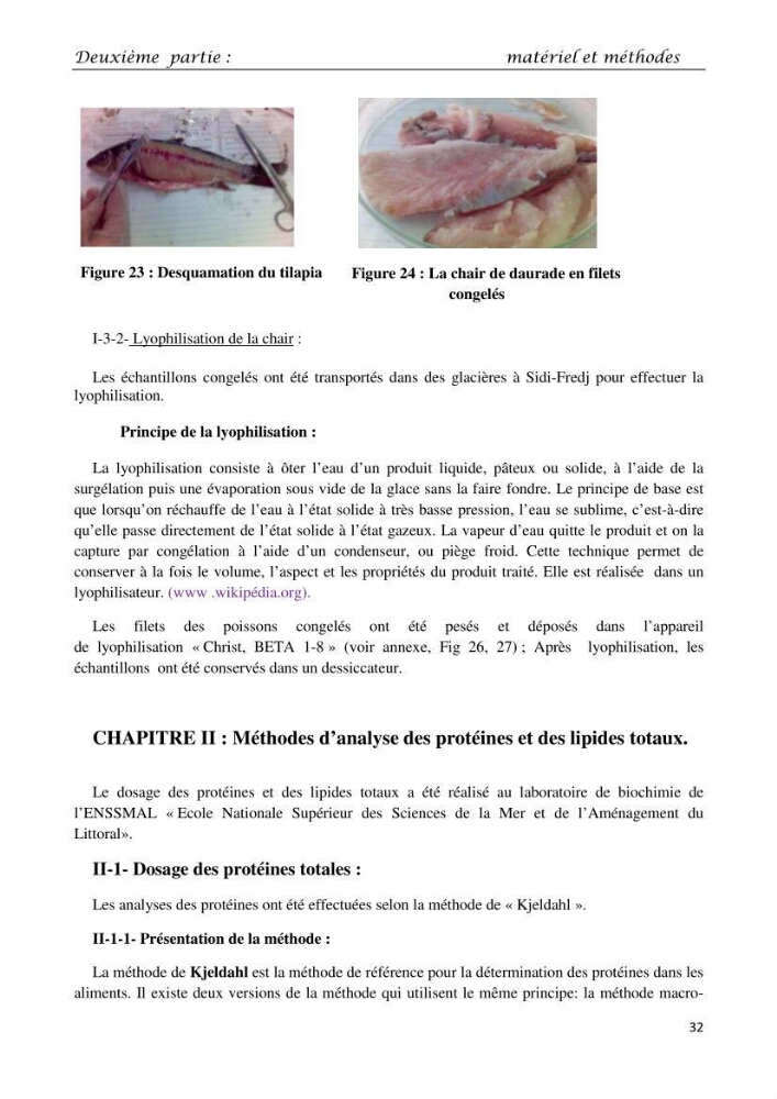 Détermination du taux des protéines et des lipides de la chair des poissons d\'eau de mer (Dicentrarchus labrax, Sparus aurata) et d\'eau douce (Oreochromis niloticus, Cyprinus carpio):