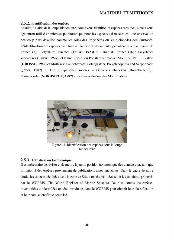 Analyse benthique des fonds marins de Stidia (Wilaya de Mostaganem ) aprés mise en place d\'un récif artificiel