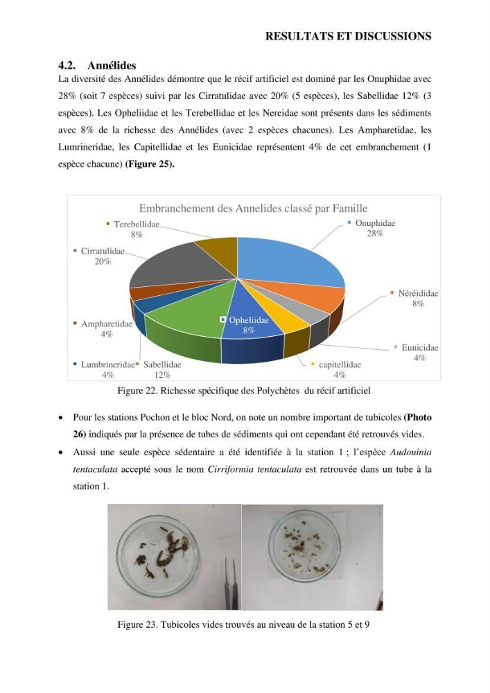 Analyse benthique des fonds marins de Stidia (Wilaya de Mostaganem ) aprés mise en place d\'un récif artificiel